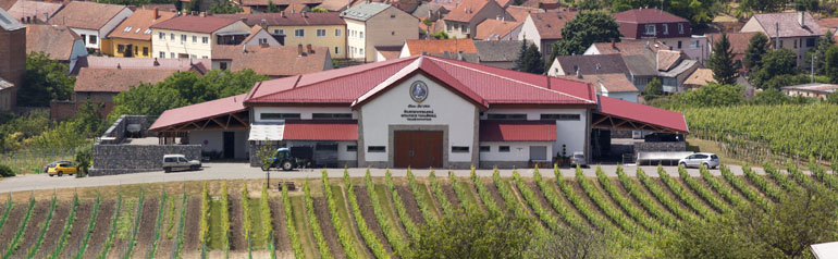 Výroba vín